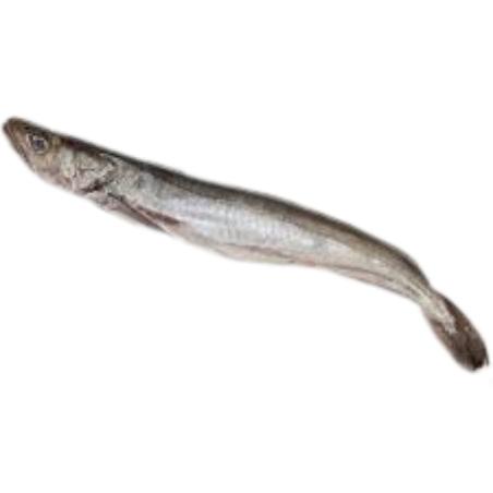 PESCADILLA CADIZ-PELONA PVP.X.KG.