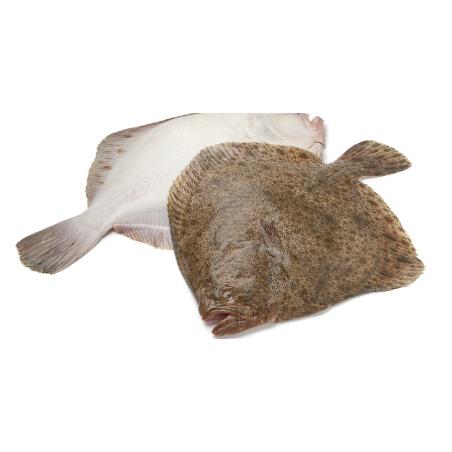 RODABALLO FRESCO CULTIVO MARINO  PVP.X KG.