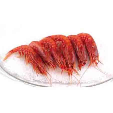 GAMBA ROJA COCIDA 60/80.SERP.PVP.X KG