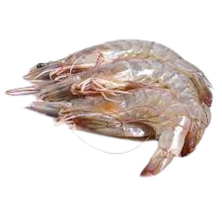 LANGOSTINO CRUDO 42/56 CORAL X KG.