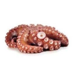 PULPO PULPITO ENTERO CABEZON FRESCO.X.KG