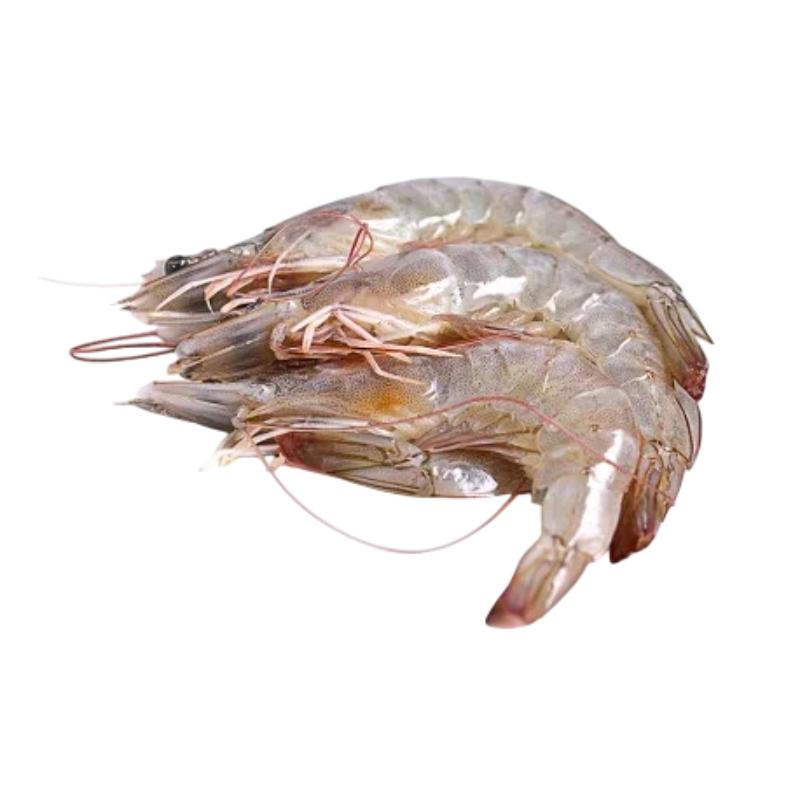 LANGOSTINO CRUDO 21/28 CORALX KG