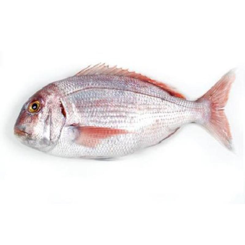 PARGO ROSADO +600.FRESCO.PVP X KG