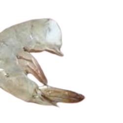 LANGOSTINO CRUDO COLA 31/35.X.KG.