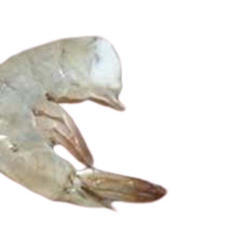 LANGOSTINO CRUDO COLA 31/35.X.KG.