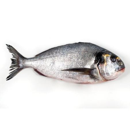 DORADA  SALVAJE ROSA FRESCA PVP.X.KG.