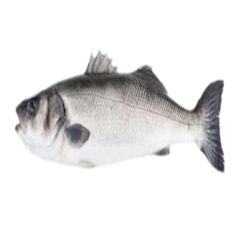 LUBINA AQUANARIA+2A2.80.KG.PVP.X.KG