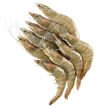 LANGOSTINO CRUDO 20/30 AC PVP.X.KG
