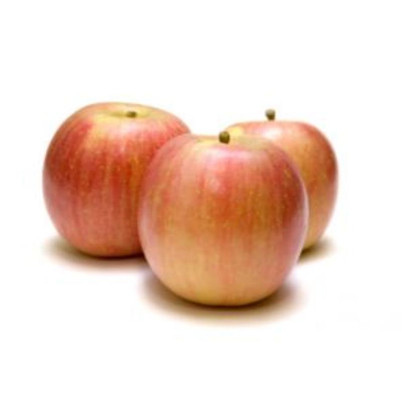 MANZANA FUJI X KG