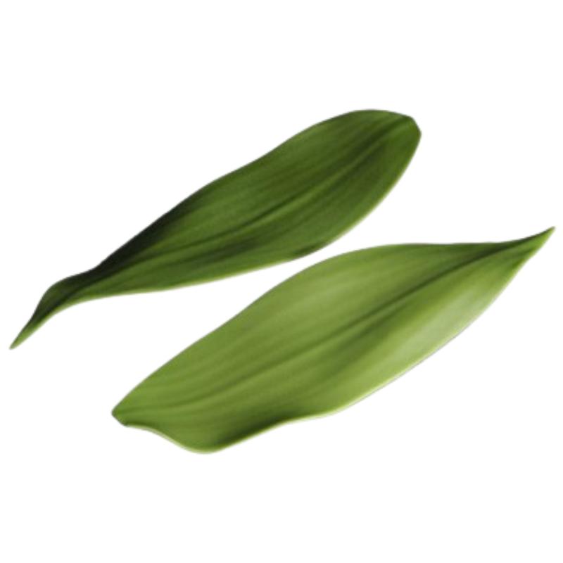 HOJAS DE BAMBU AO SASA P/ 100 UD