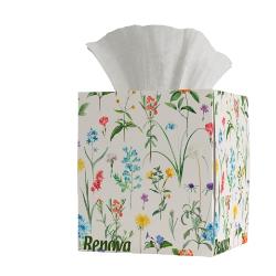 PAÑUELOS PAPEL RENOVA FACIAL C/50 UD