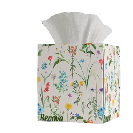PAÑUELOS PAPEL RENOVA FACIAL C/50 UD