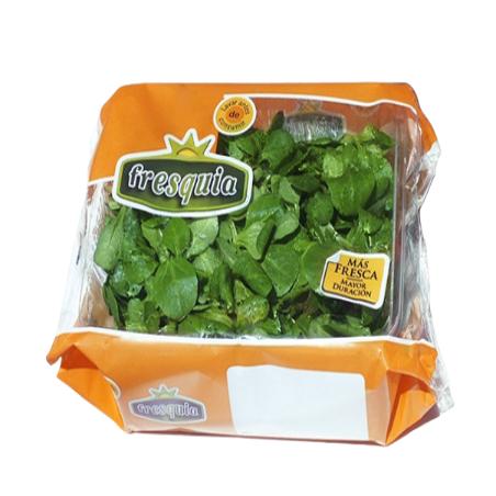 CANONIGOS FRESHKIA IA B/100 GR