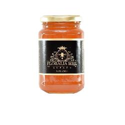 MIEL FLORALIA TOMILLO T/C 500 GR