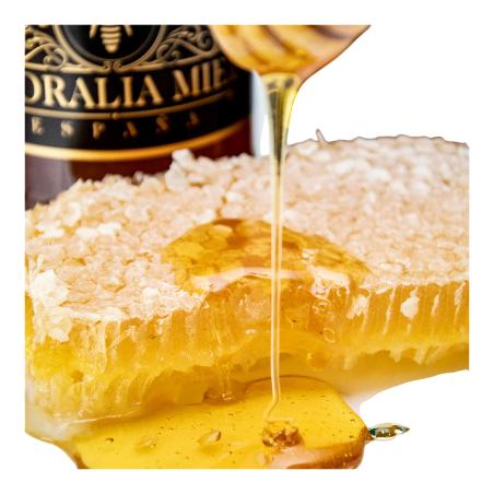 MIEL FLORALIA PANAL 400 GR