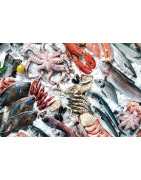 Pescadería al por Mayor en Cáceres | Provecaex