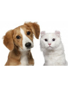 Alimentación y Complementos para Animales | Provecaex