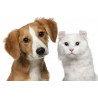 Animales