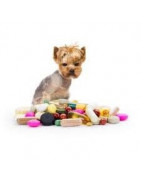 Complementos y Accesorios para Animales | Provecaex