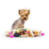 Complementos de Animales