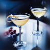 Especias para Cocktail