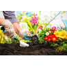 Jardinería