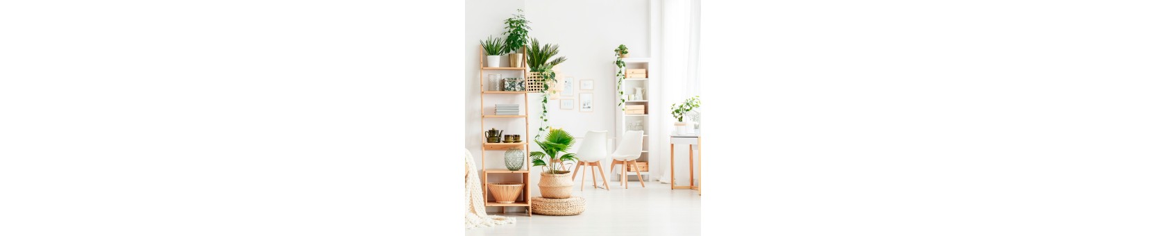 Decoraciones