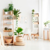 Decoraciones