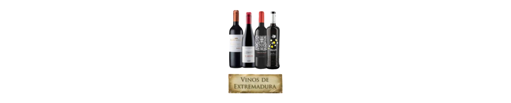 Vinos y Cavas