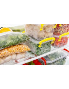 Congelados Diversos