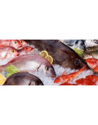 Pescados y Mariscos Congelados