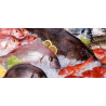 Pescados y Mariscos Congelados