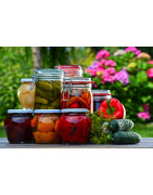 Conservas Vegetales