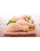 Conejo, Gallina, Pavo y Pollo
