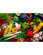 Verduras y Hortalizas